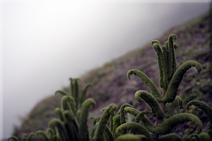 foto Ecuador